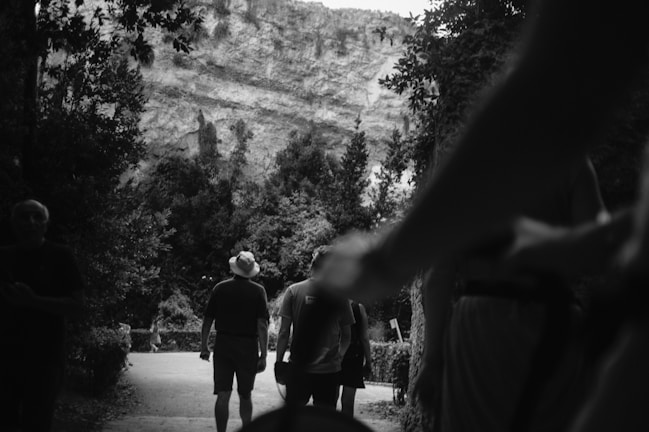 An outdoor moment capturing a small group engaged in a mindfulness walk surrounded by lush greenery near Piombino.