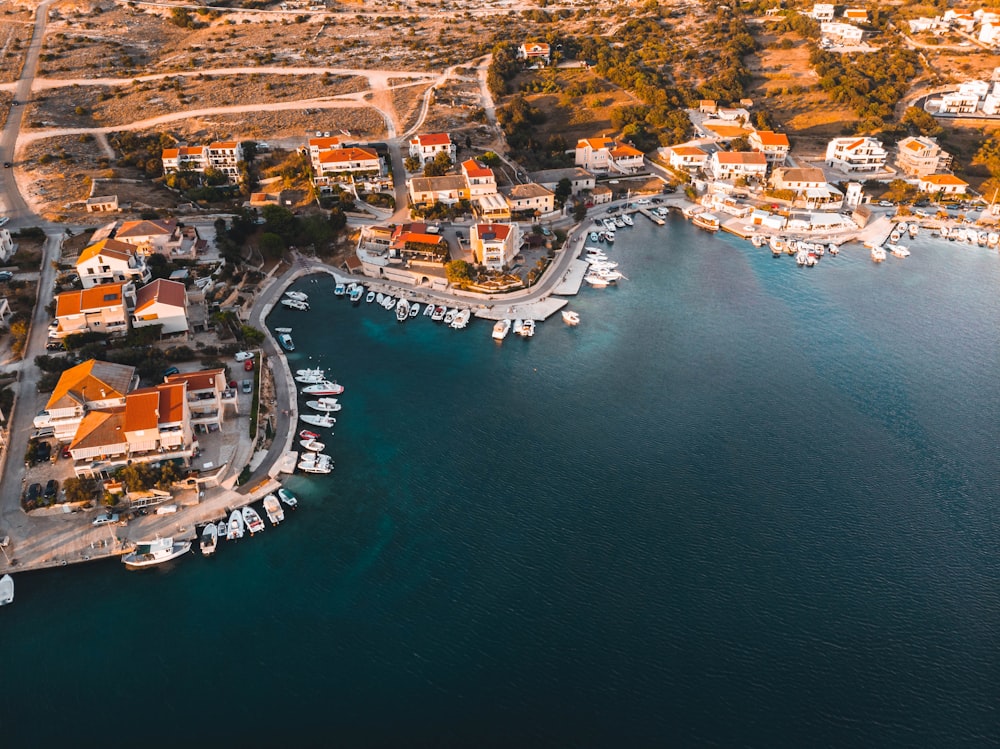 aerial view of city buildings near body of water during daytime