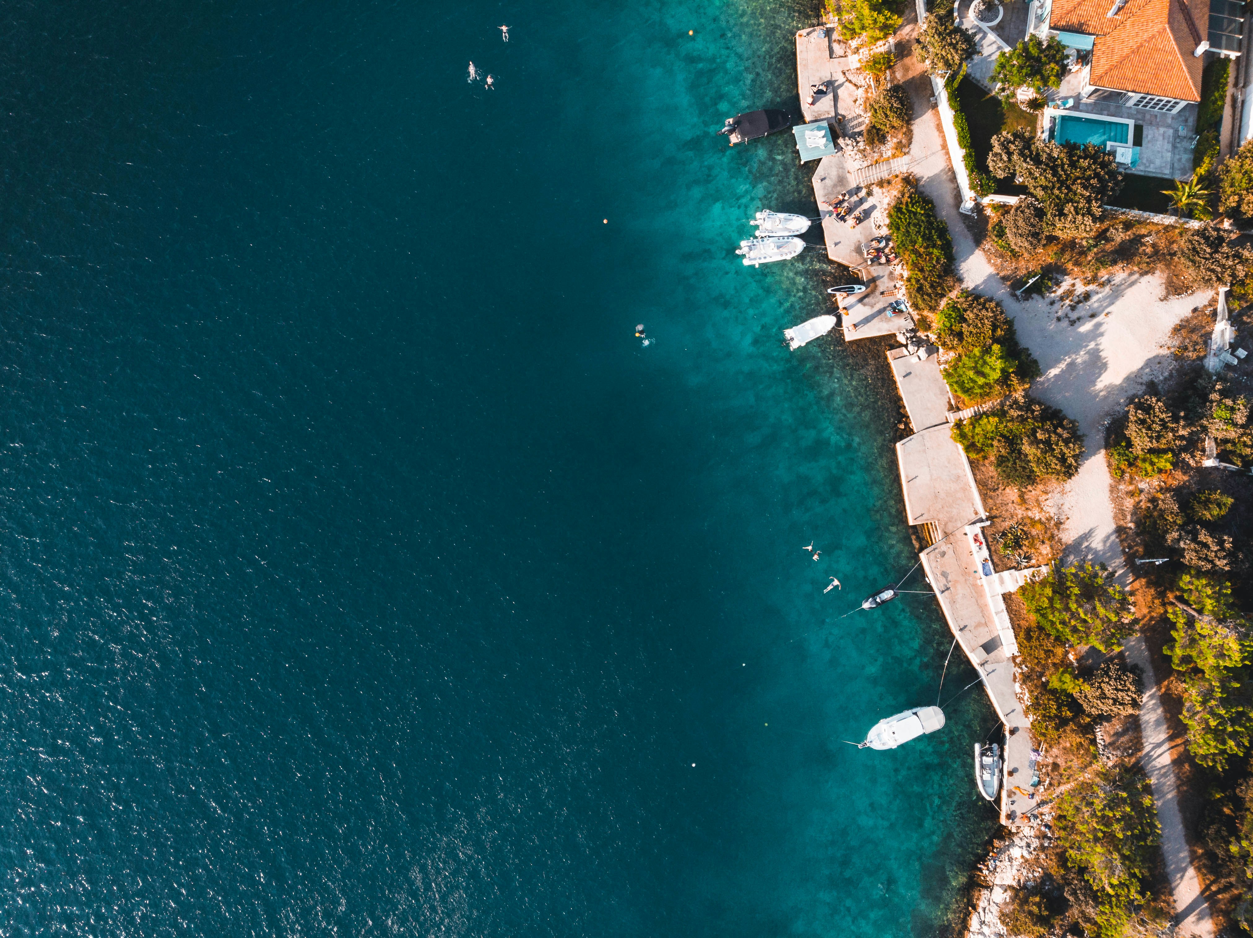 Photo by matthew_mlg