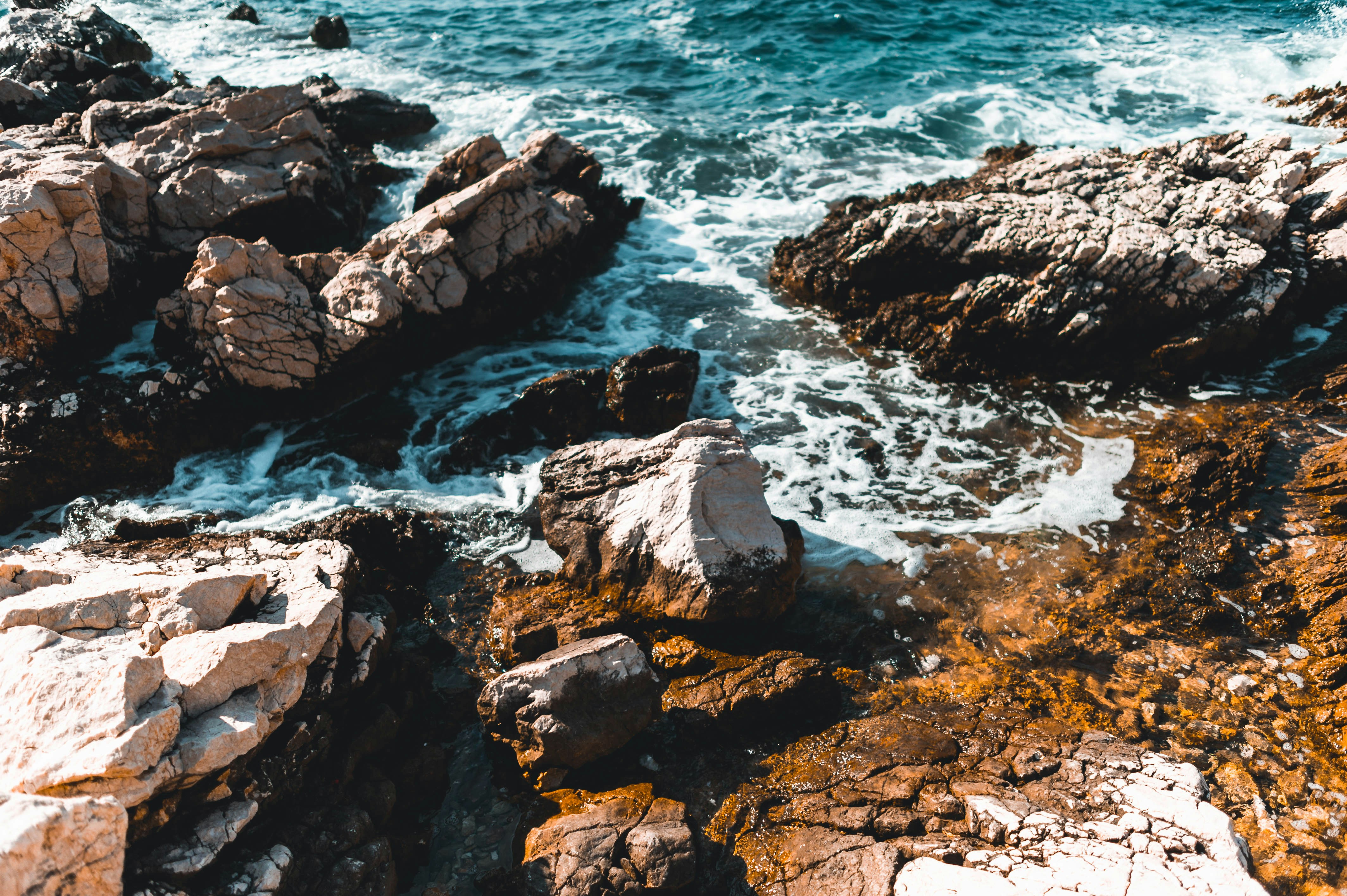 Photo by matthew_mlg