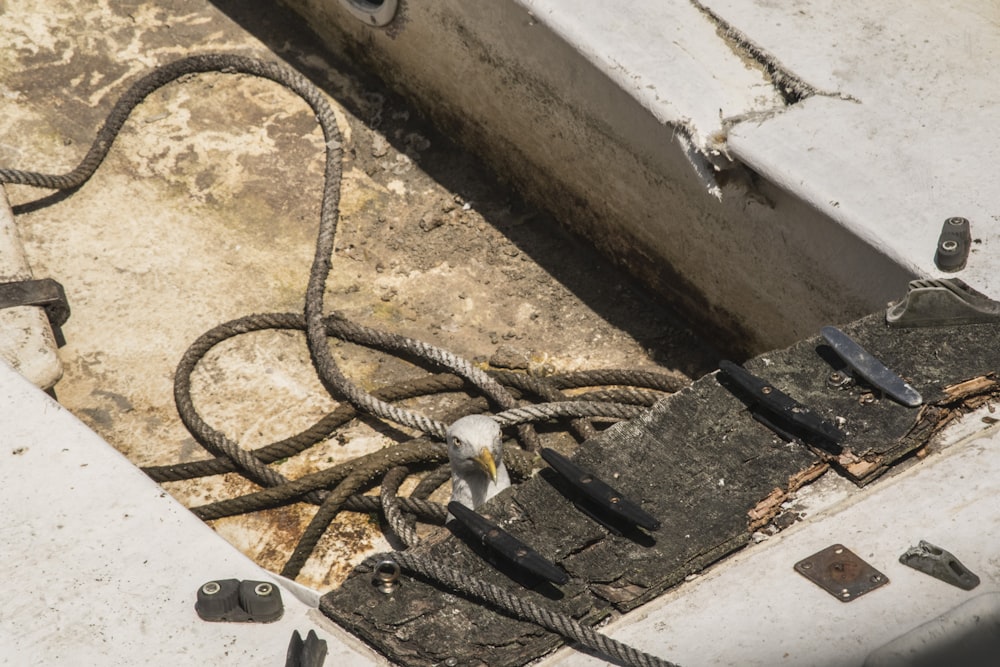 black rope on white concrete wall