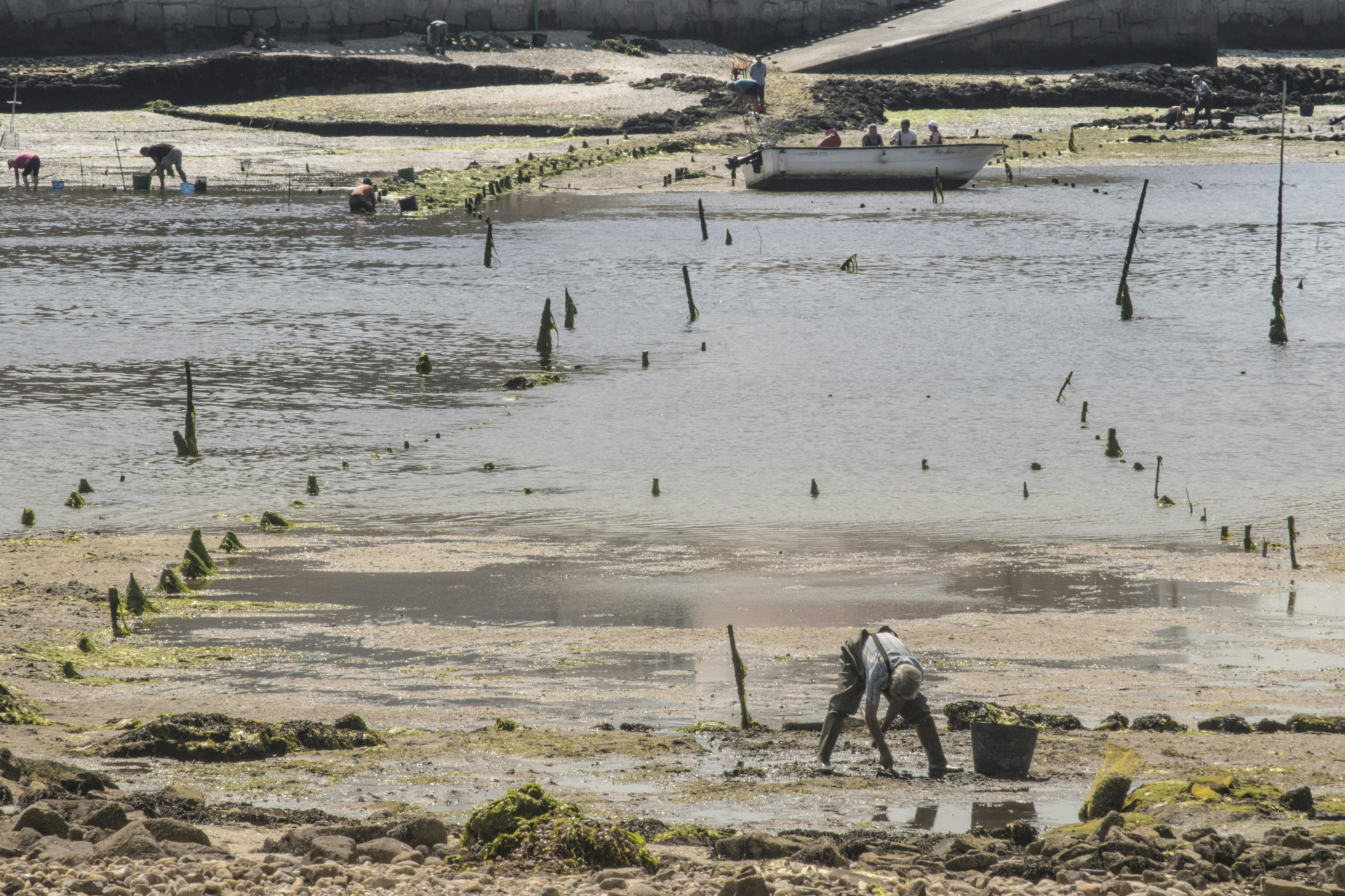 people on lake during daytime
