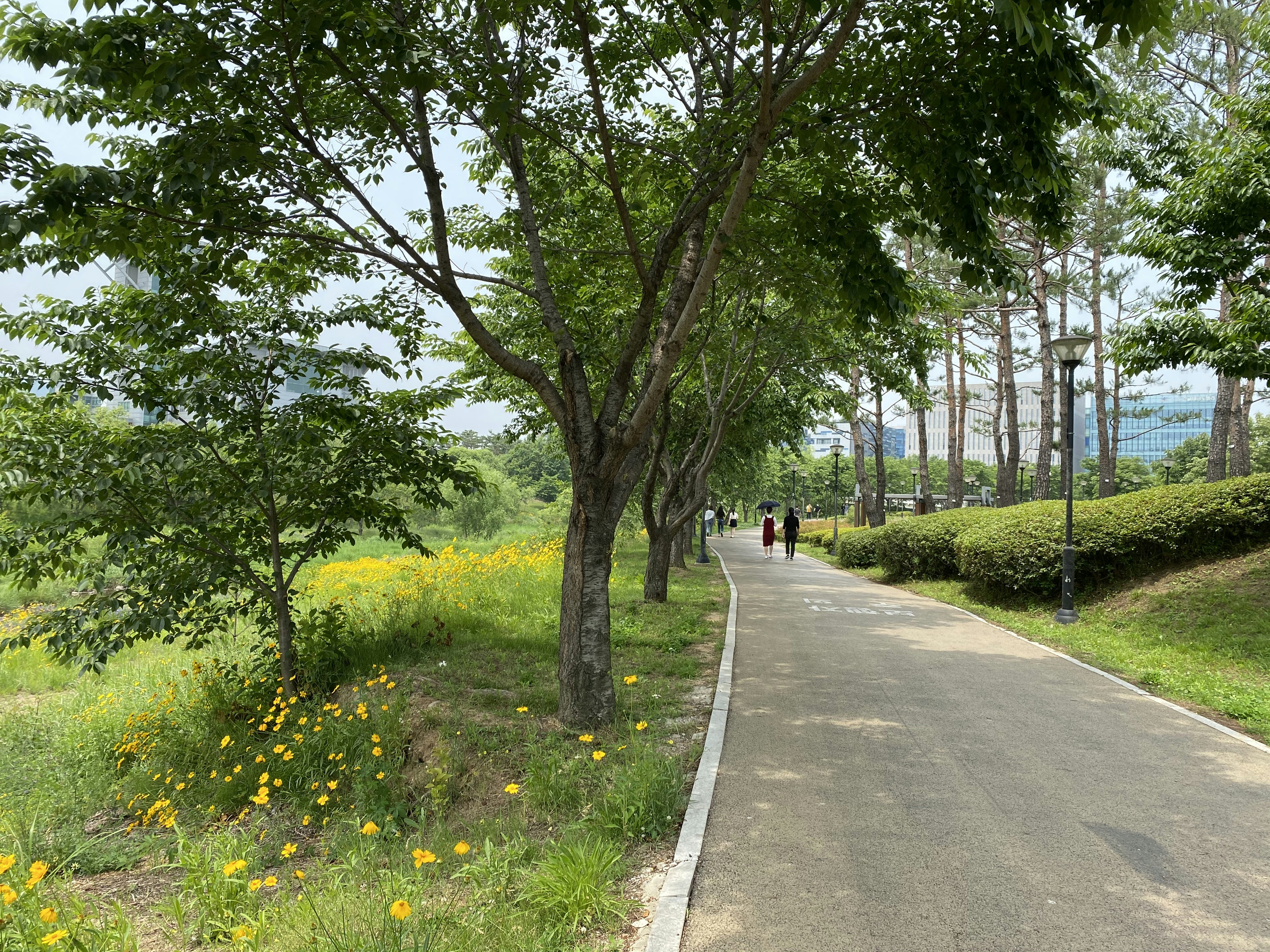 Photo by francis_shin