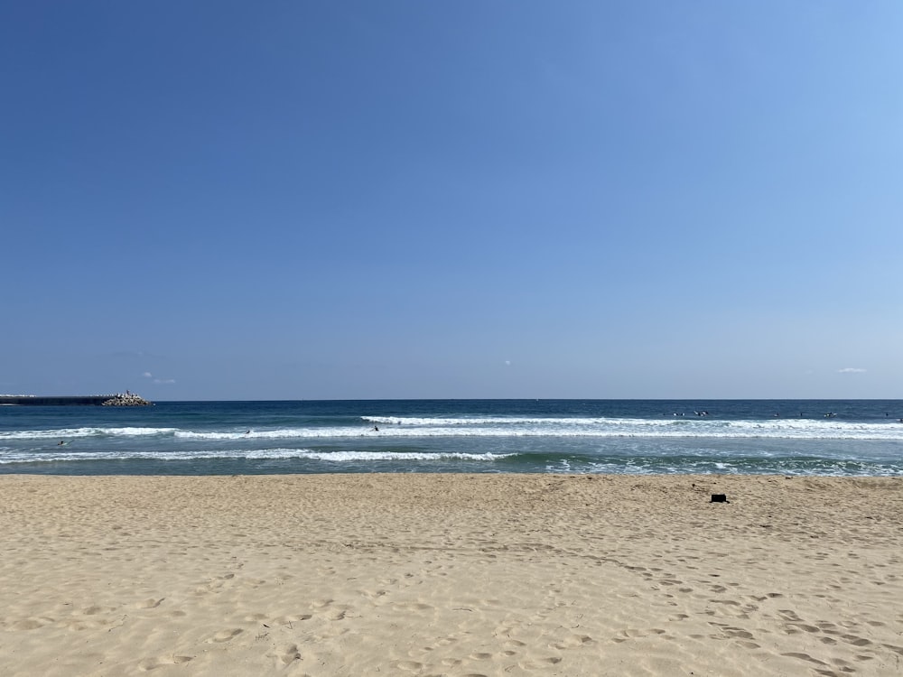 people on beach during daytime