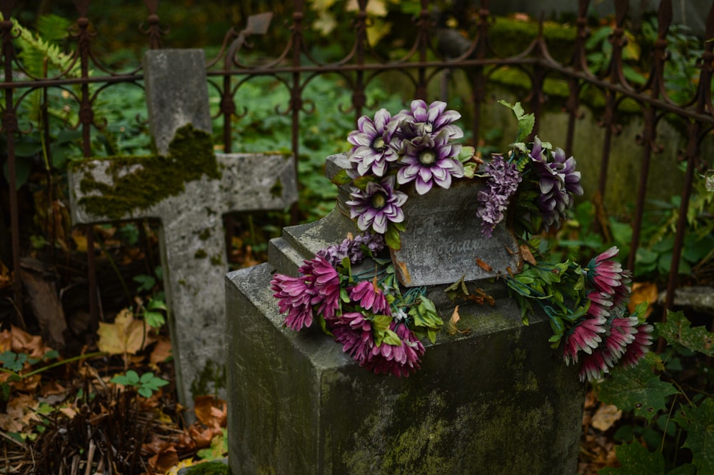 purple flowers on gray concrete pot