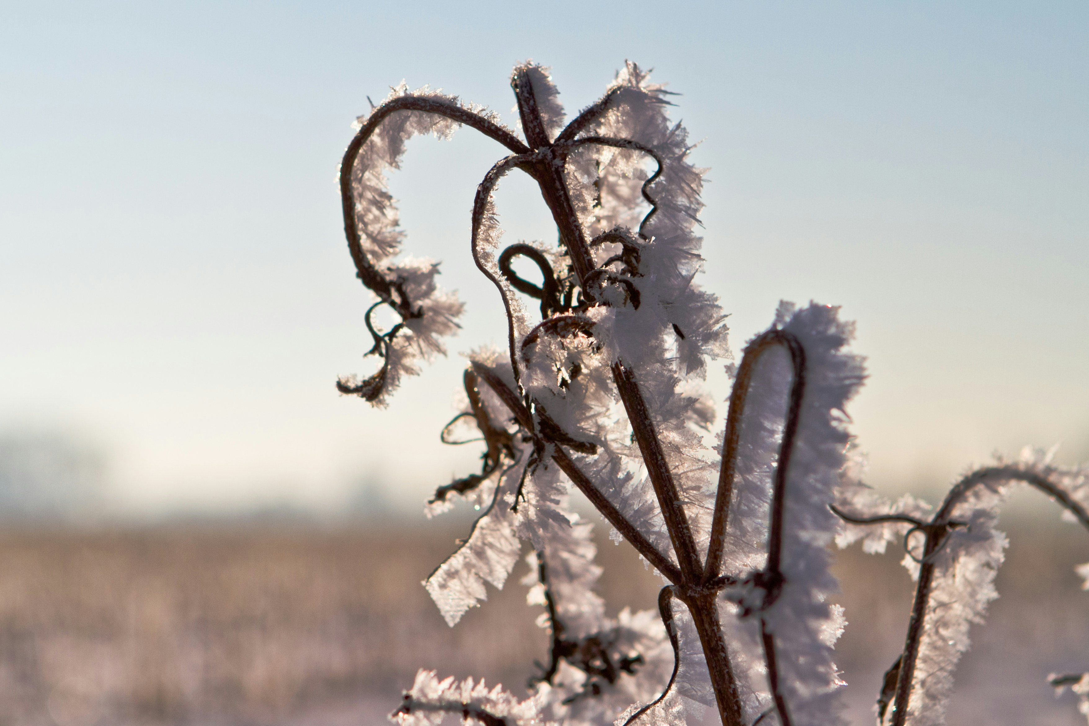 Photo by stevenvanelk