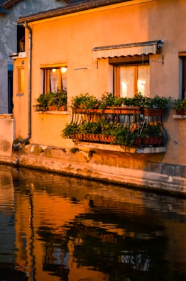 Evening view of rasa sutra’s exterior glowing softly with warm saffron lighting.
