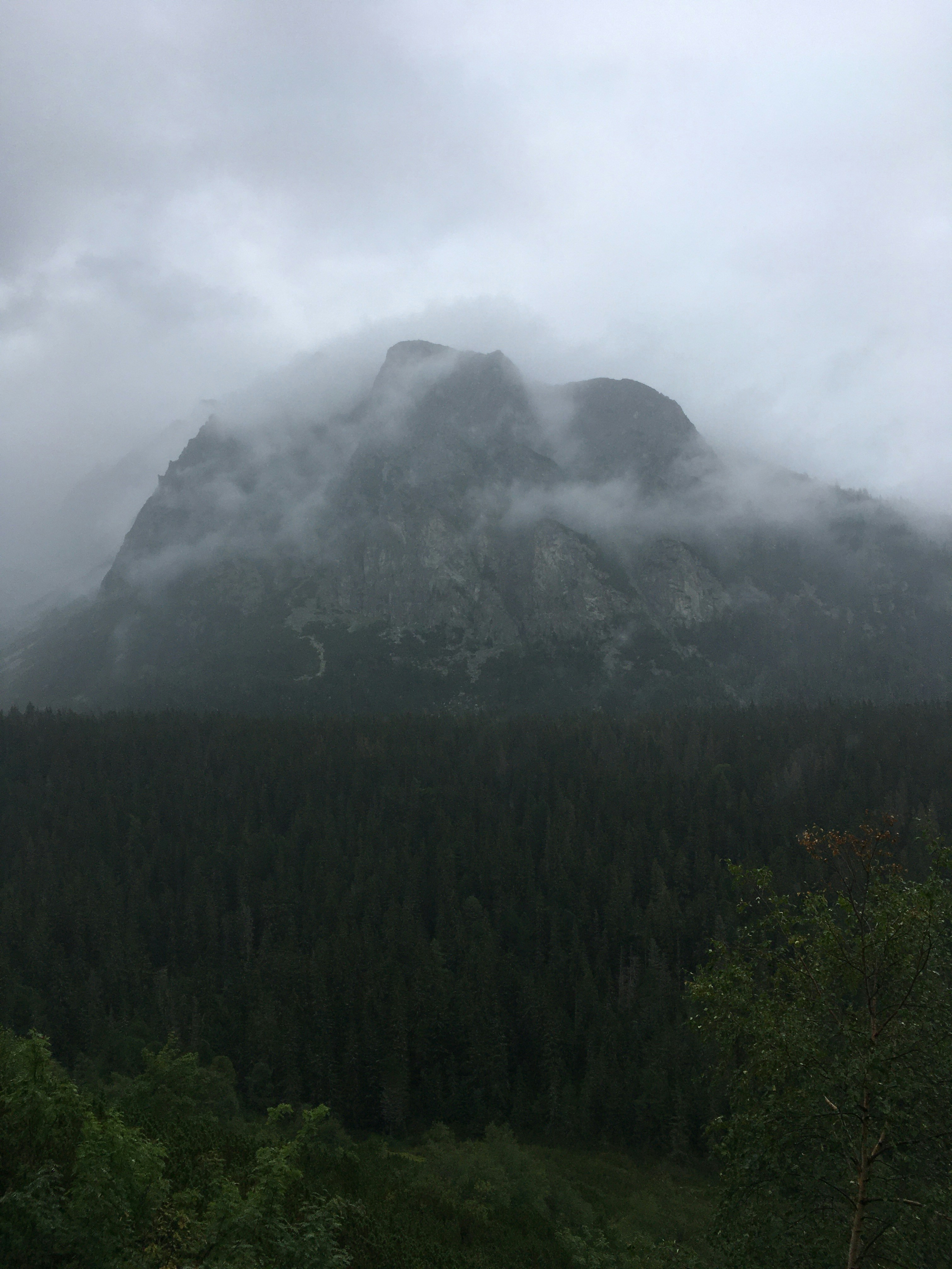 Dense cloud forest on mountain peak with misty atmospheric conditions and dramatic dark sky