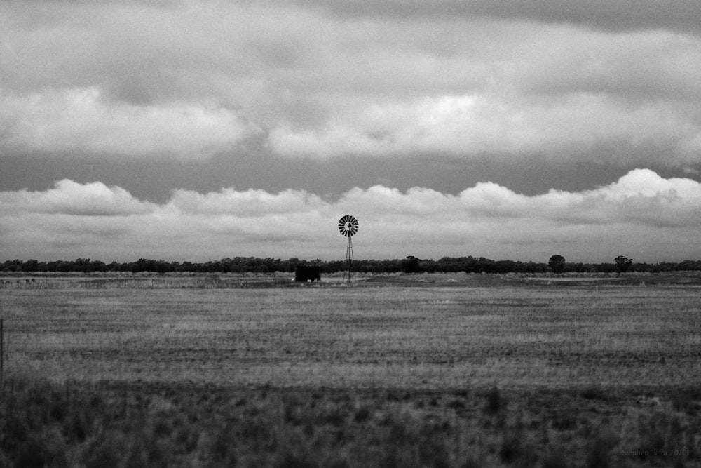 Photo en niveaux de gris d’un champ d’herbe avec des arbres