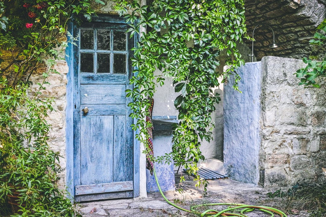 blue wooden door with green plants