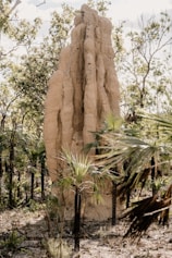 brown rock formation near green trees during daytime
