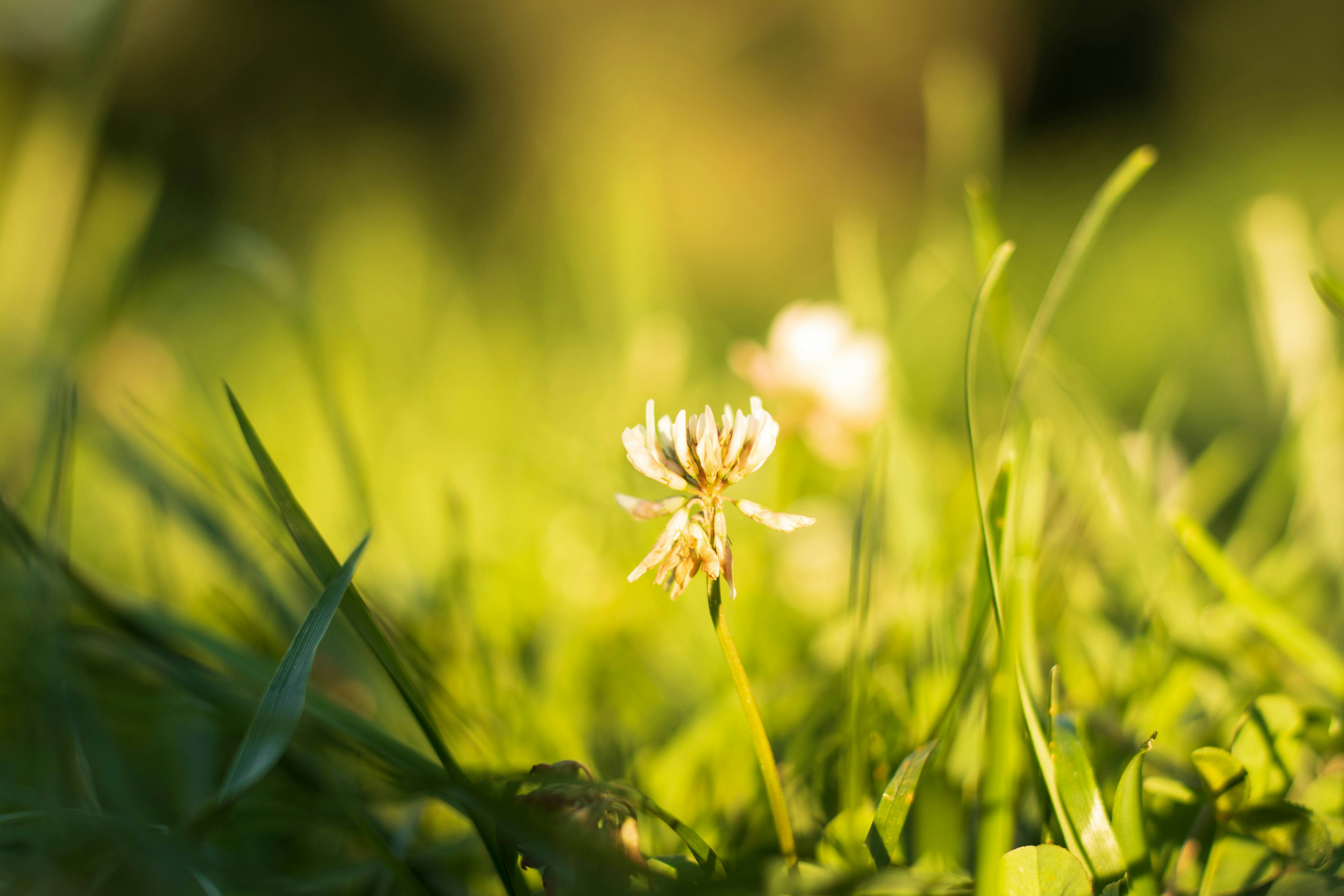 Photo by chrislevn07