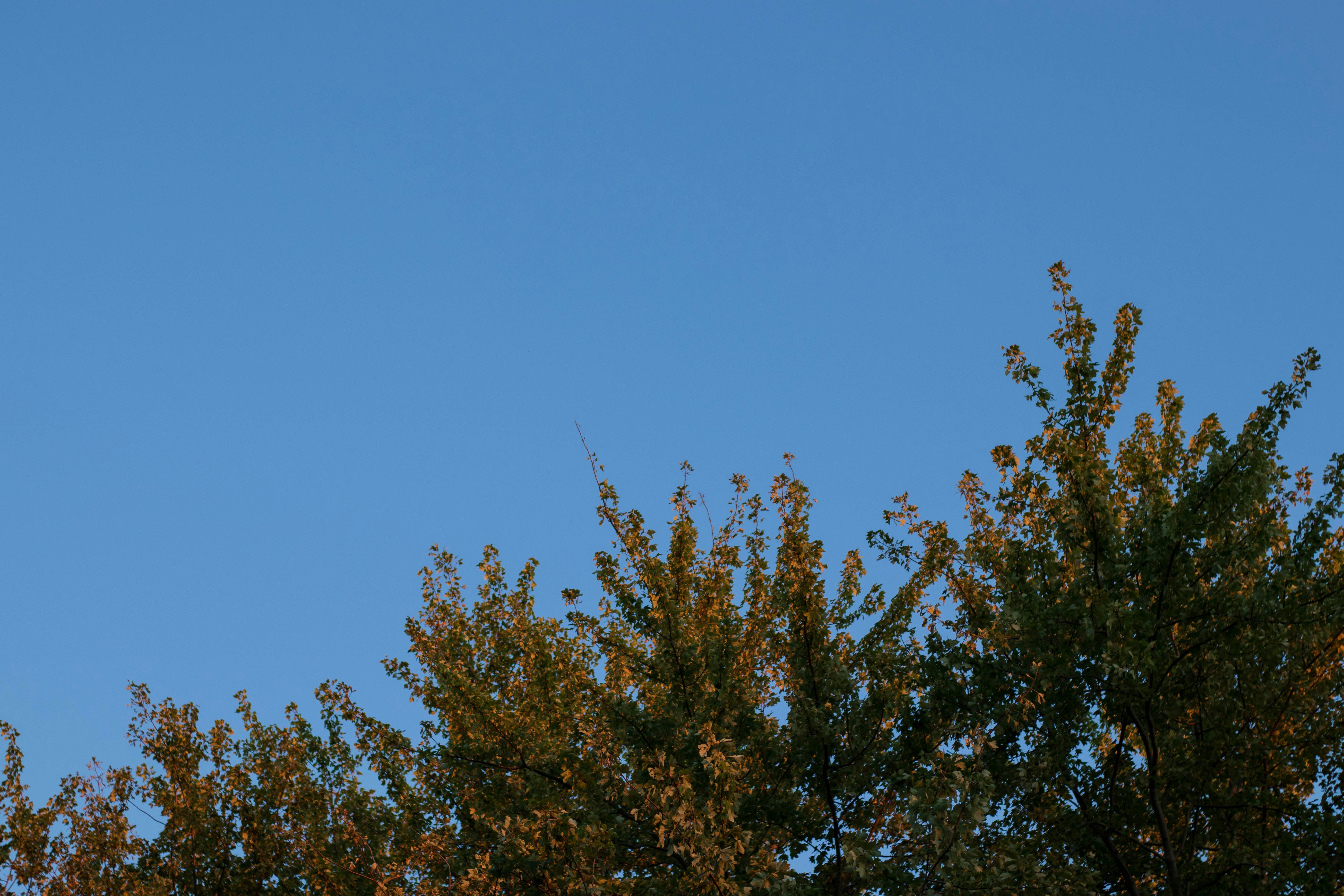 Photo by chrislevn07