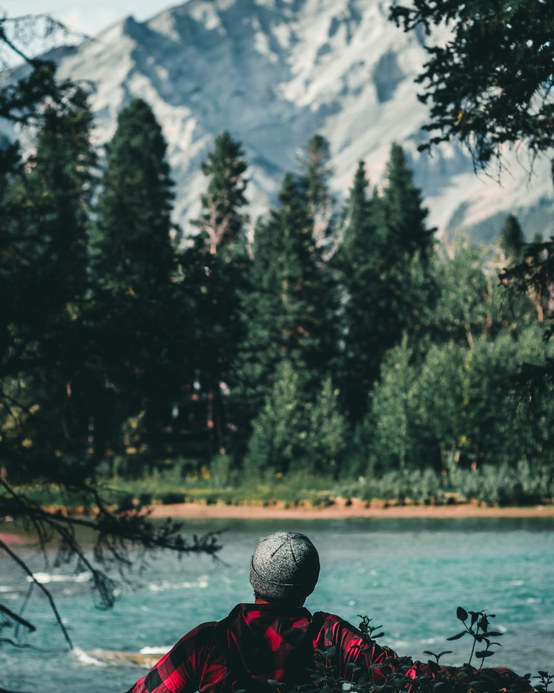 Forest photo spot Town Of Banff Mount Assiniboine Provincial Park