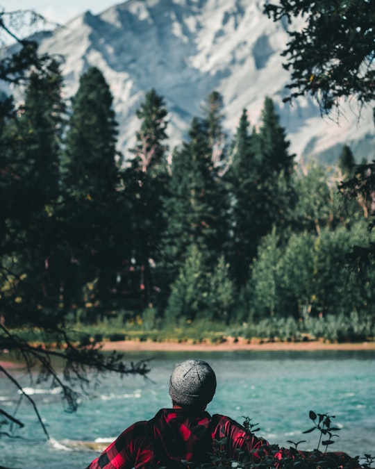 green trees near body of water during daytime in Town Of Banff Canada