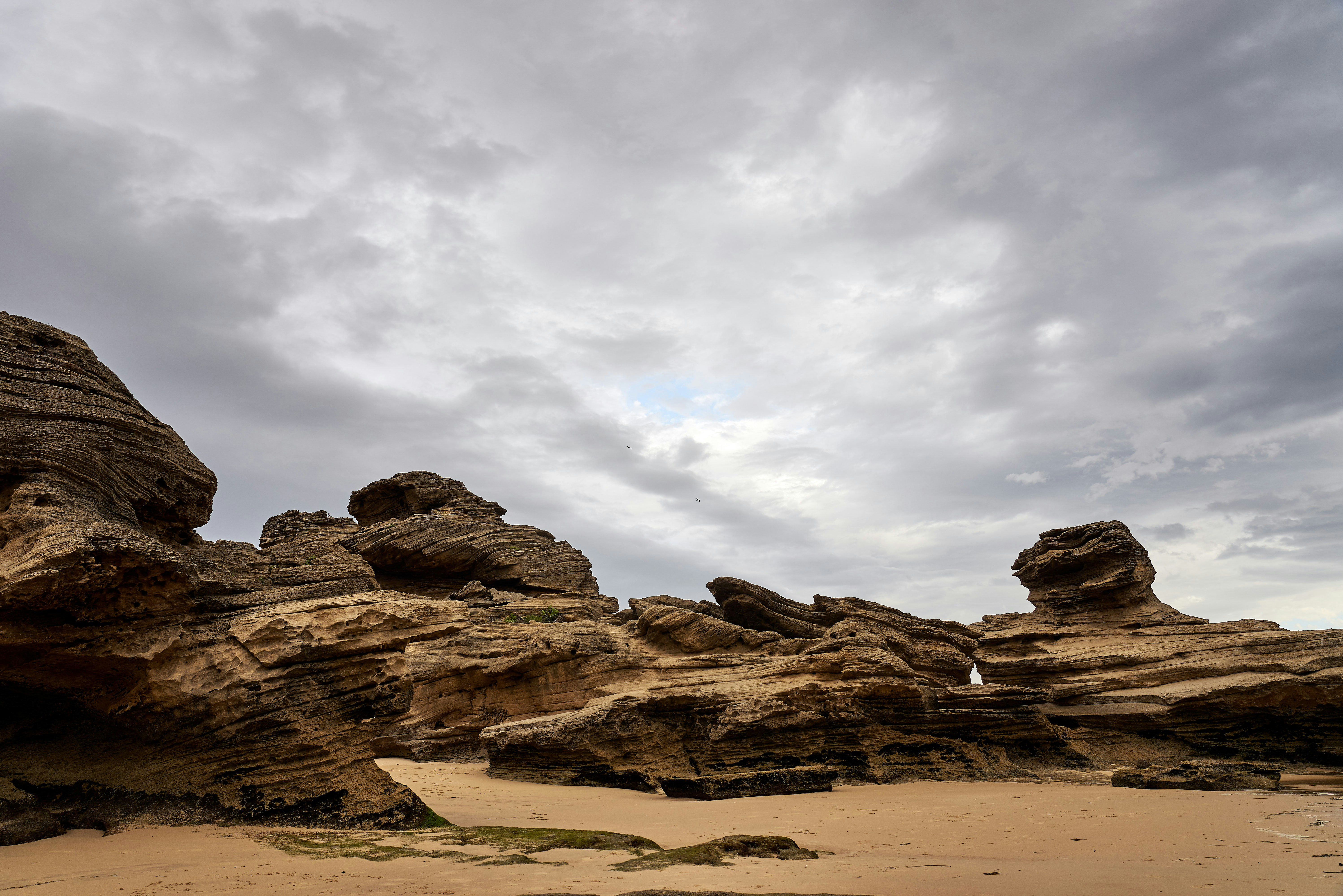 Photo by wolfgang_hasselmann