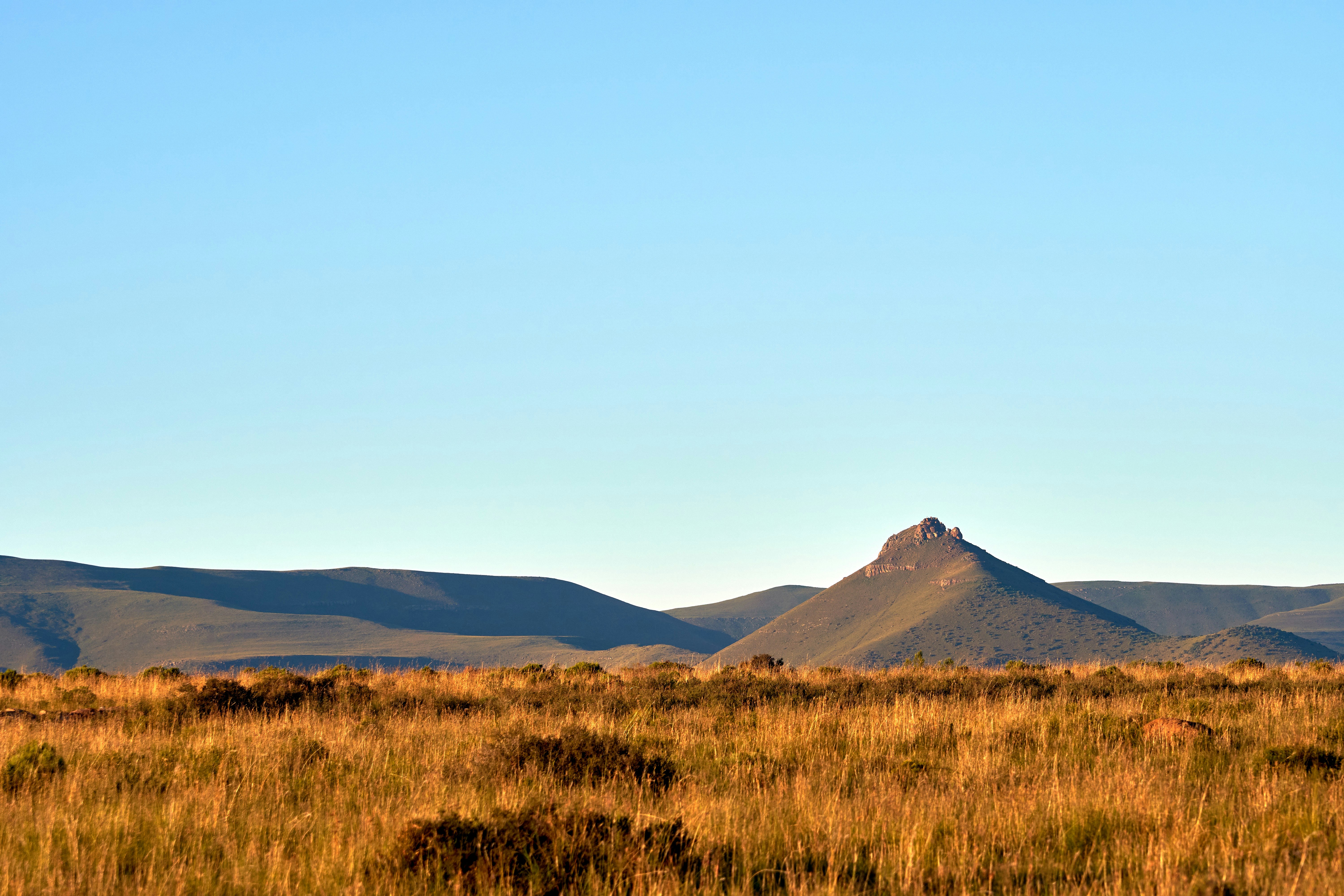 Photo by wolfgang_hasselmann