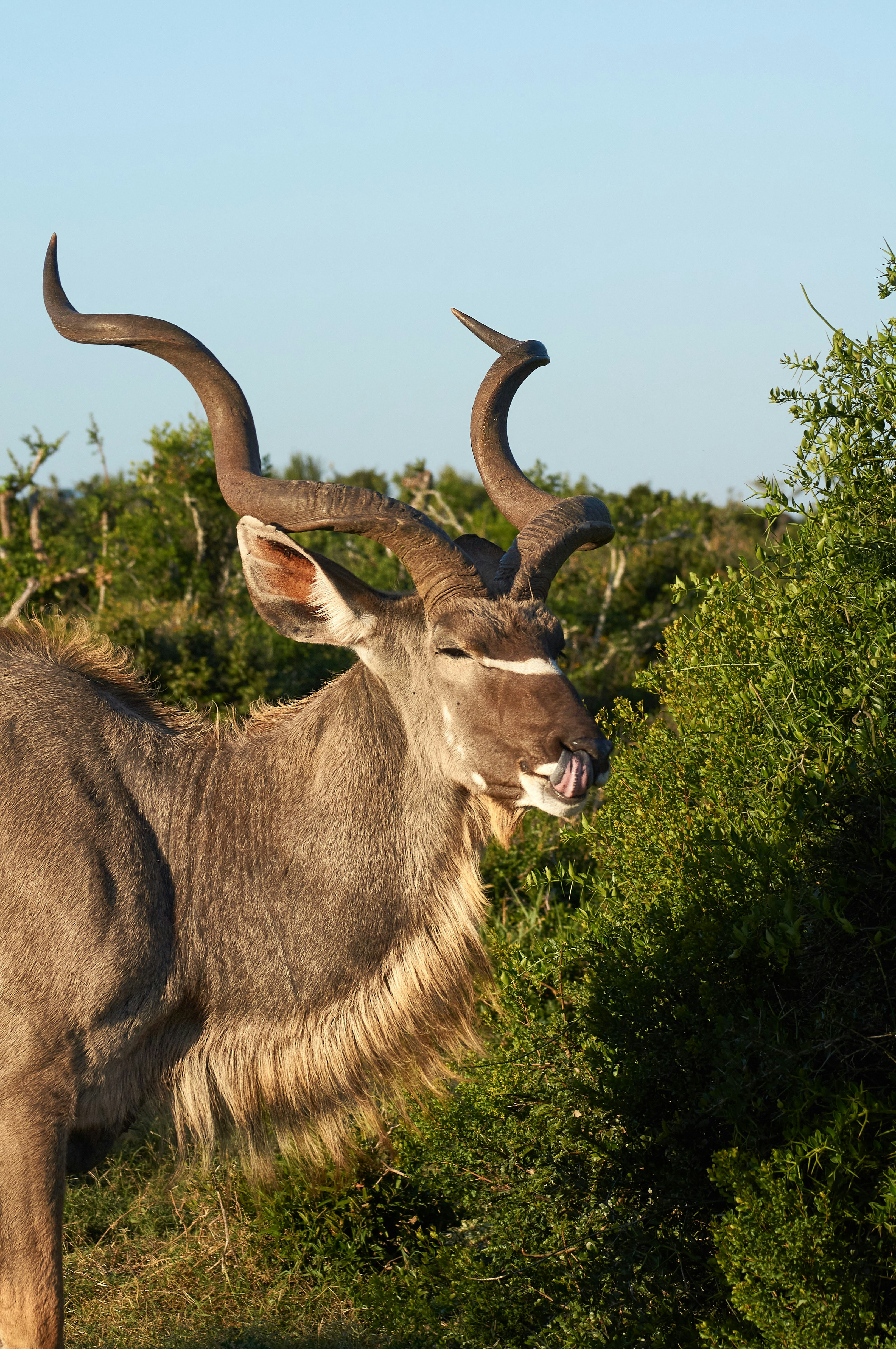 Photo by wolfgang_hasselmann