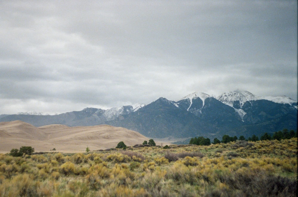 green grass field near mountain under white sky during daytime