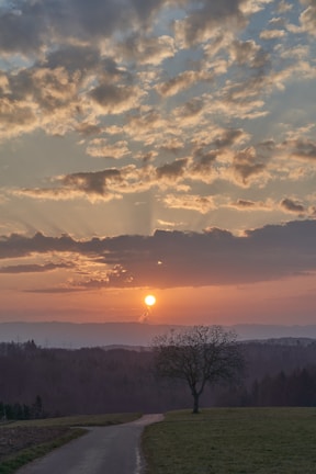 A serene landscape with a solitary tree under a glowing sunrise symbolizing hope.