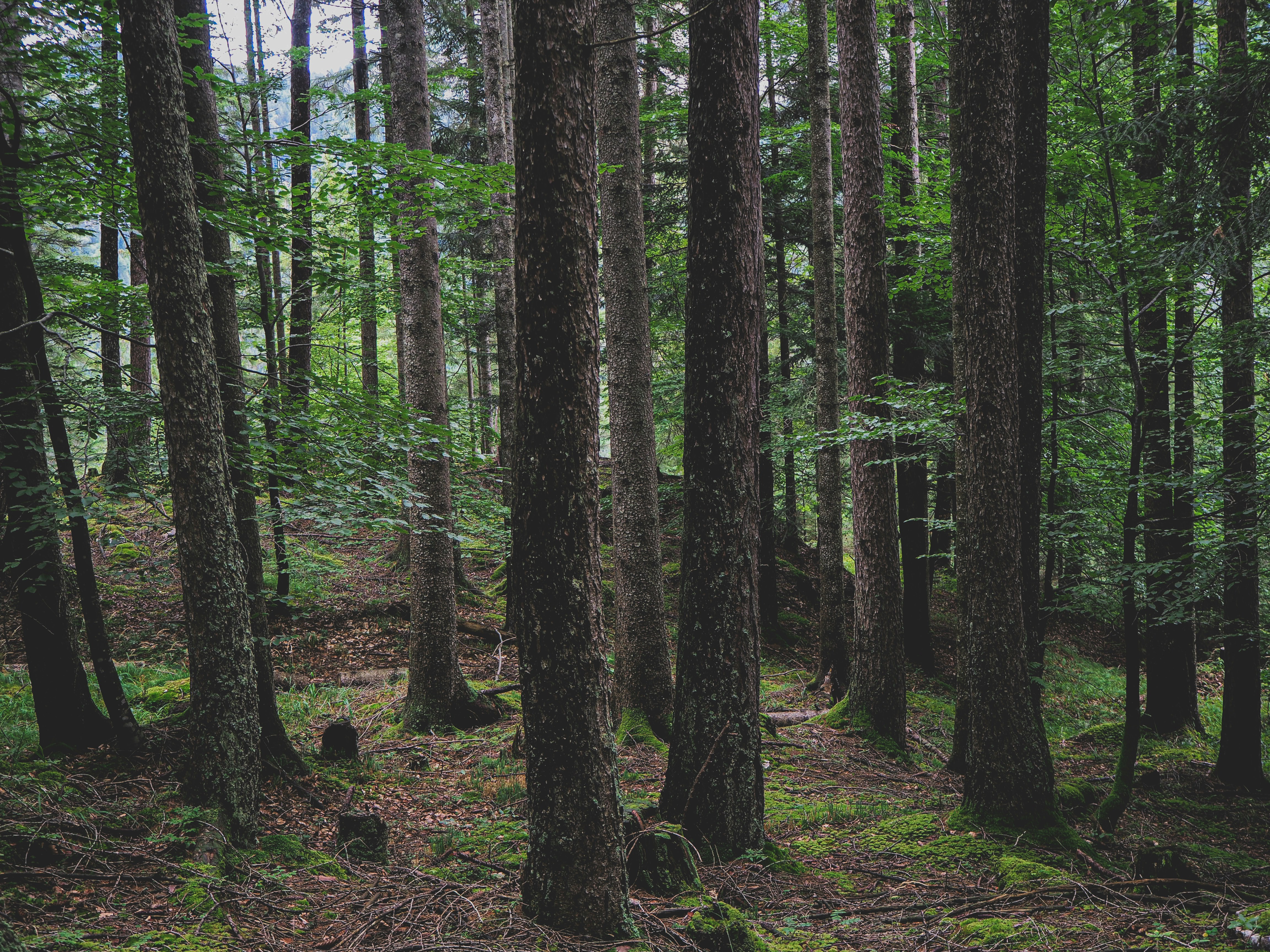 Photo by laurachouette