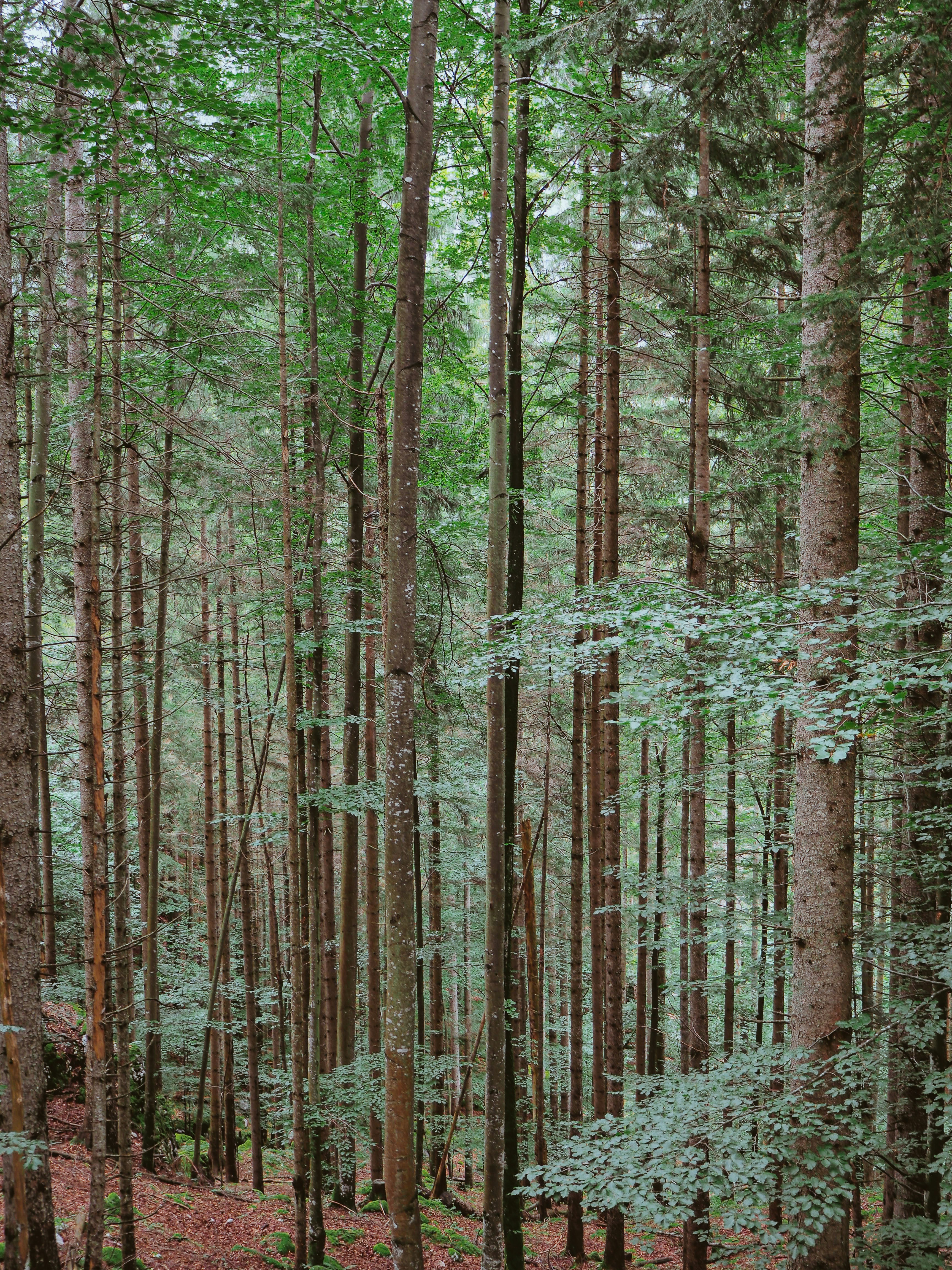 Photo by laurachouette