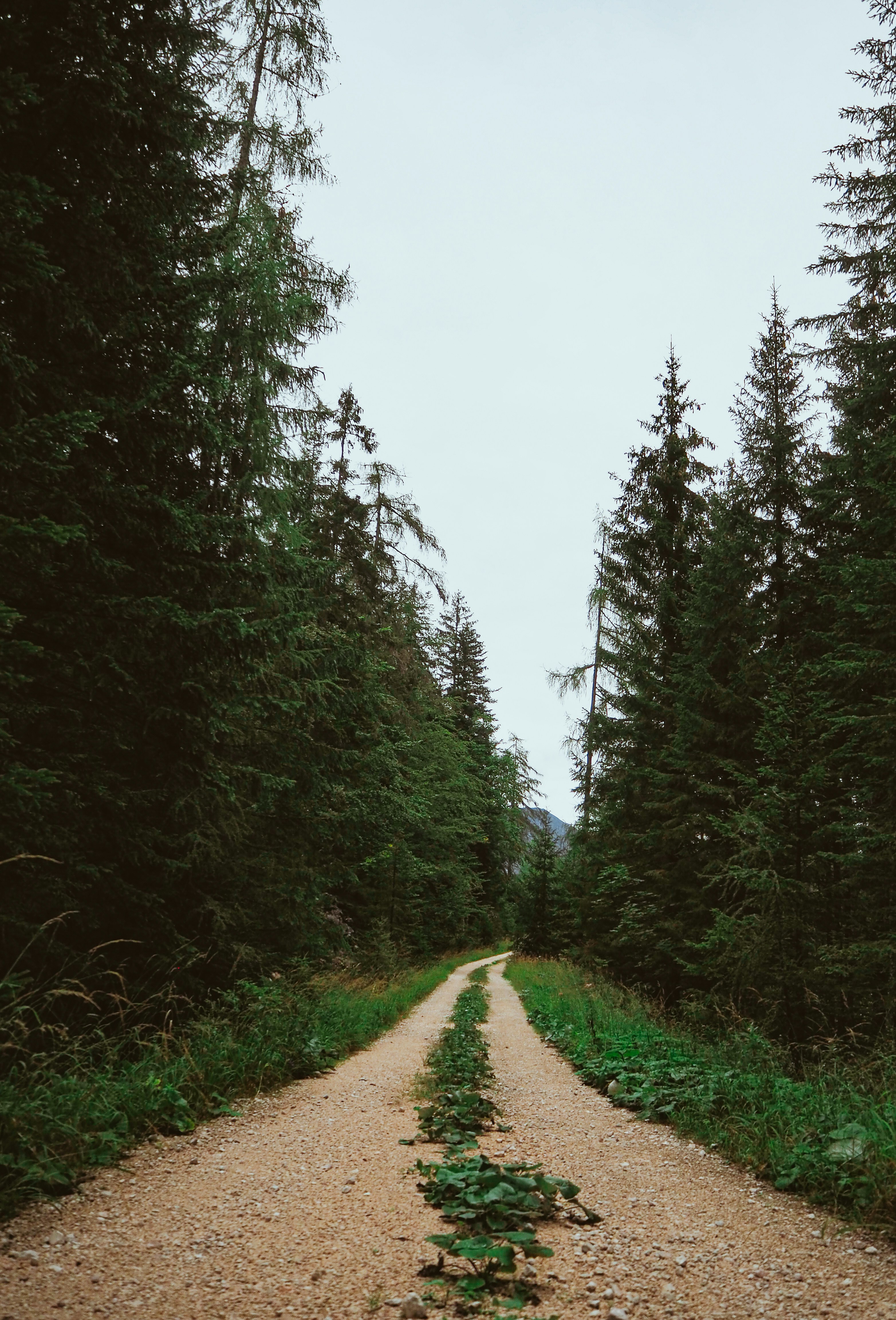 Photo by laurachouette