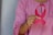 A person wearing a pink shirt holds a pink ribbon, often associated with breast cancer awareness, between their fingers. The focus is on the hand and ribbon, highlighting the texture and color of the fabric.