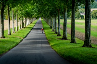 person in red jacket walking on gray asphalt road during daytime