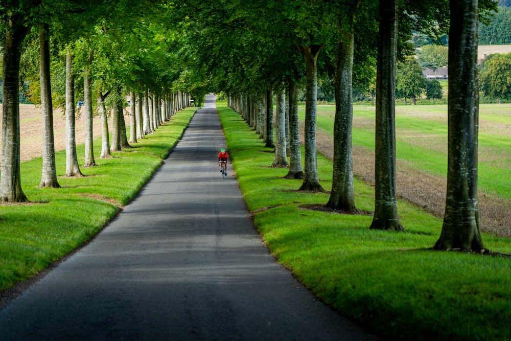 person in red jacket walking on gray asphalt road during daytime