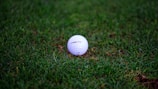 Close-up of a golf ball resting on freshly trimmed grass.