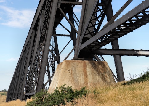 A large, robust steel bridge with intricate lattice design spans across a clear blue sky. The bridge is supported by a substantial concrete pillar which anchors it to the ground. Surrounding the base are patches of green shrubs and dry grasses, giving an impression of a rural setting.