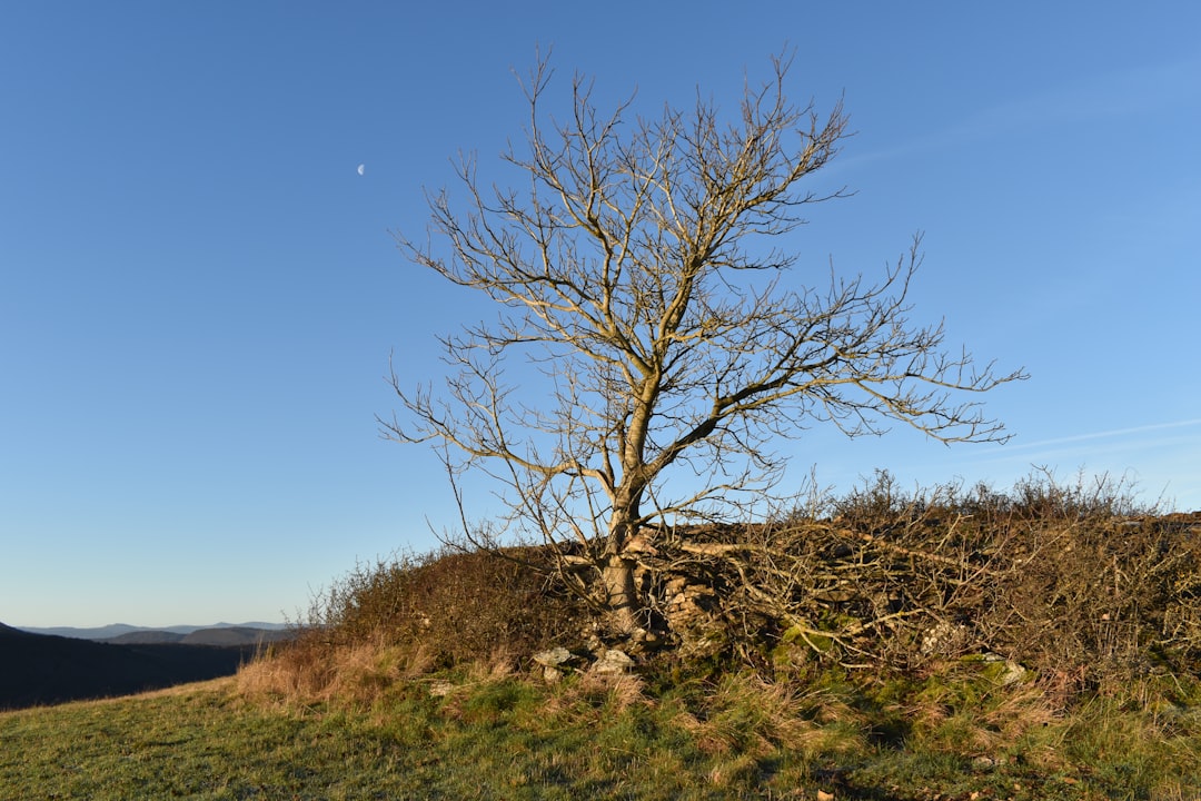 photo of Saint-Affrique Hill near Lévézou