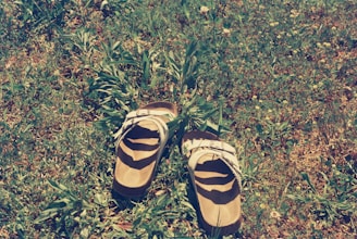 A pair of colorful, handmade sandals resting on a sunlit wooden floor near green plants.