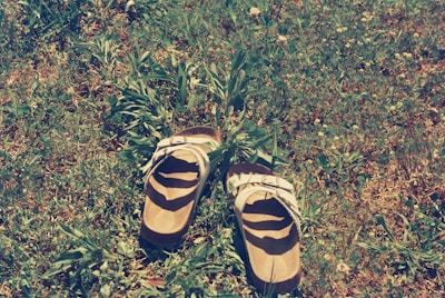 Casual rubber sandals displayed outdoors on a sunny day with green grass background