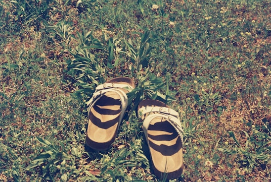 A pair of colorful, handmade sandals resting on a sunlit wooden floor near green plants.