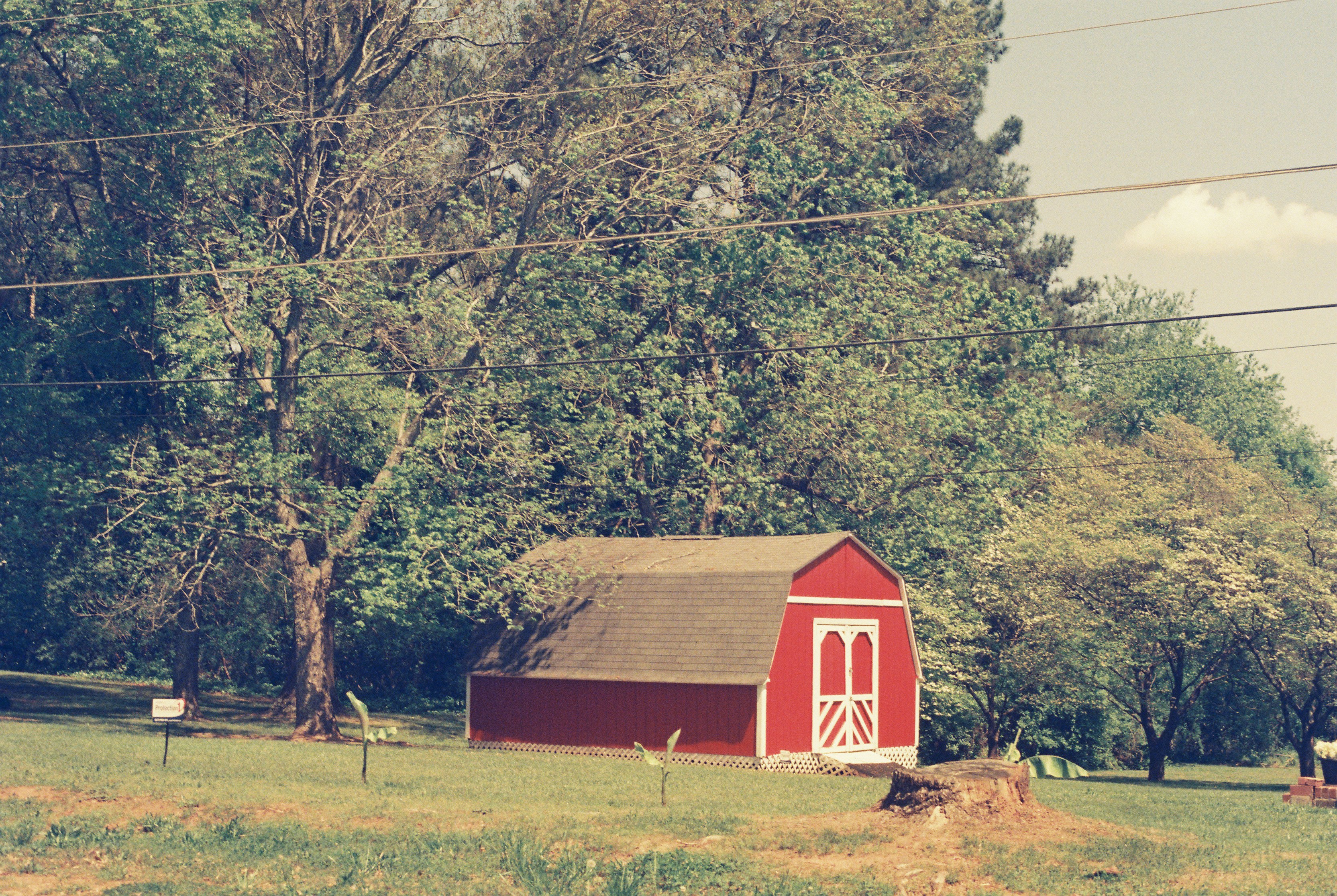 red and white barn near green trees during daytime