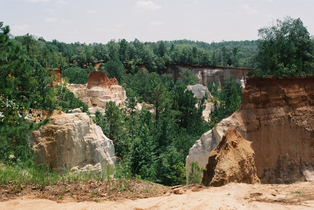 green trees near brown rock formation during daytime