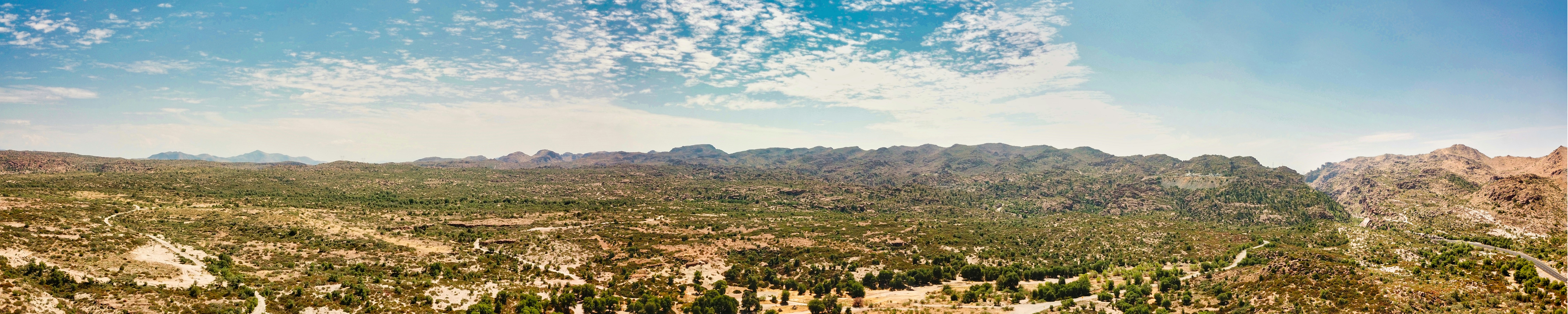 green trees and mountains under blue sky during daytime