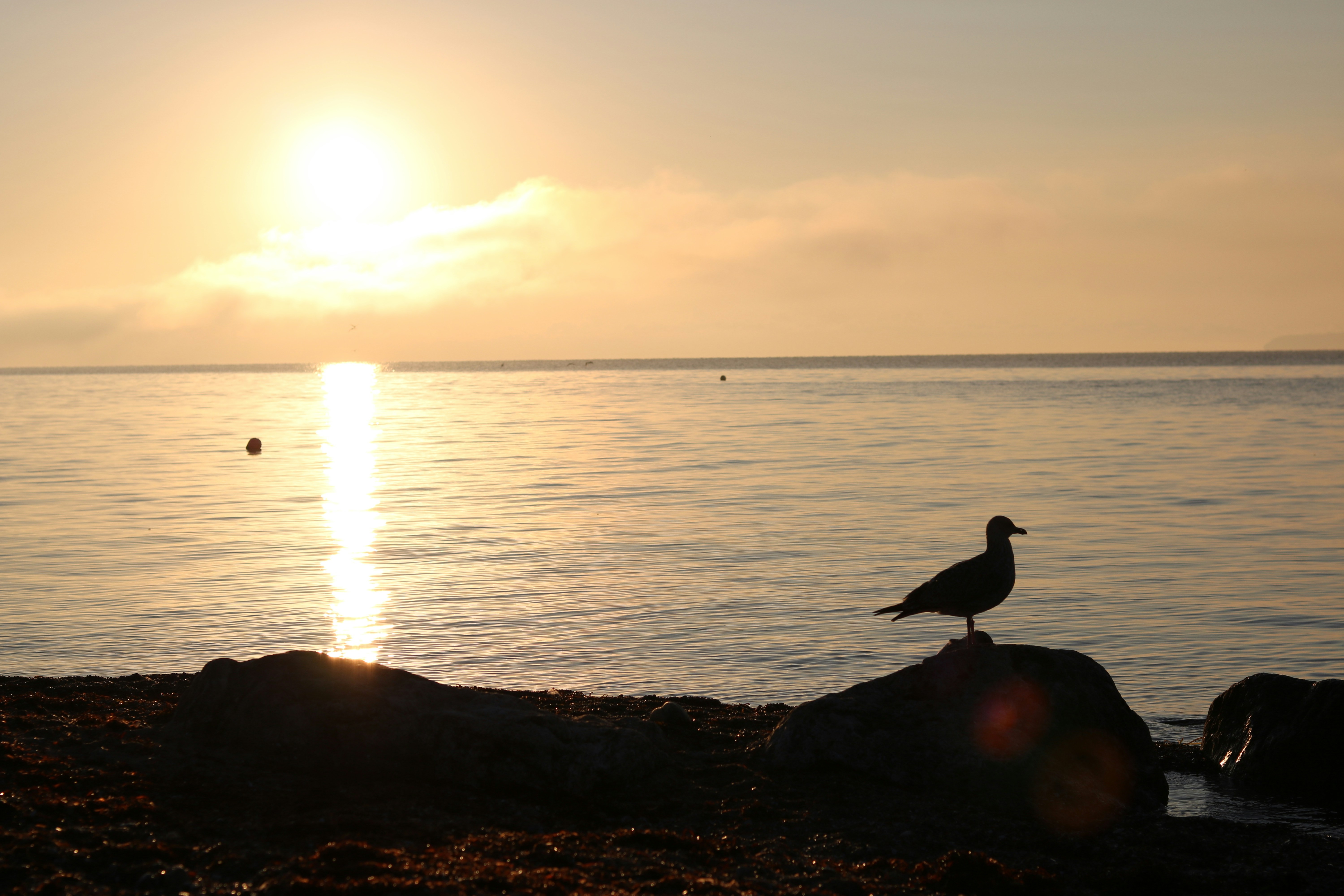 Photo by christofwettengel