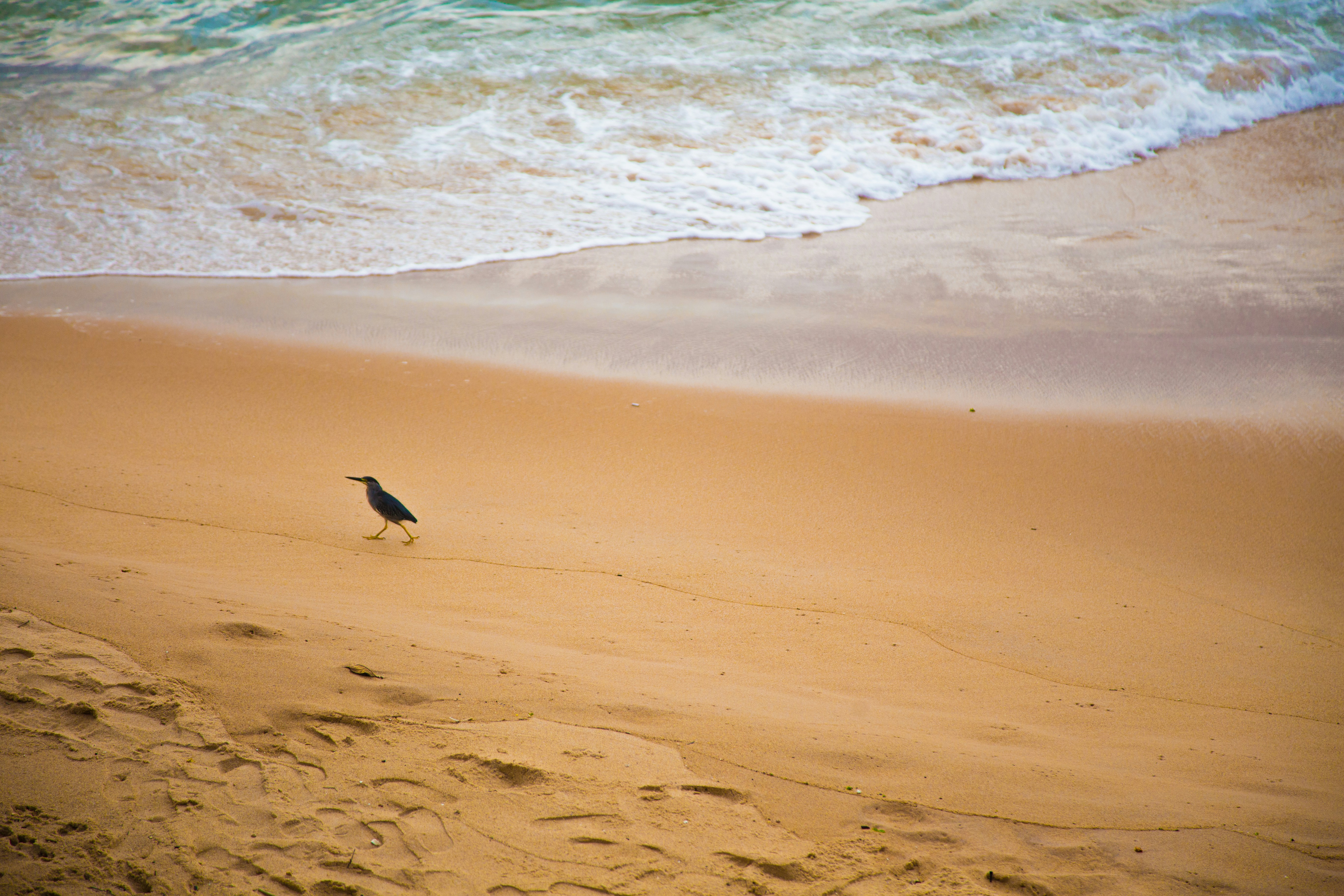 Photo by vanessa_aragaom