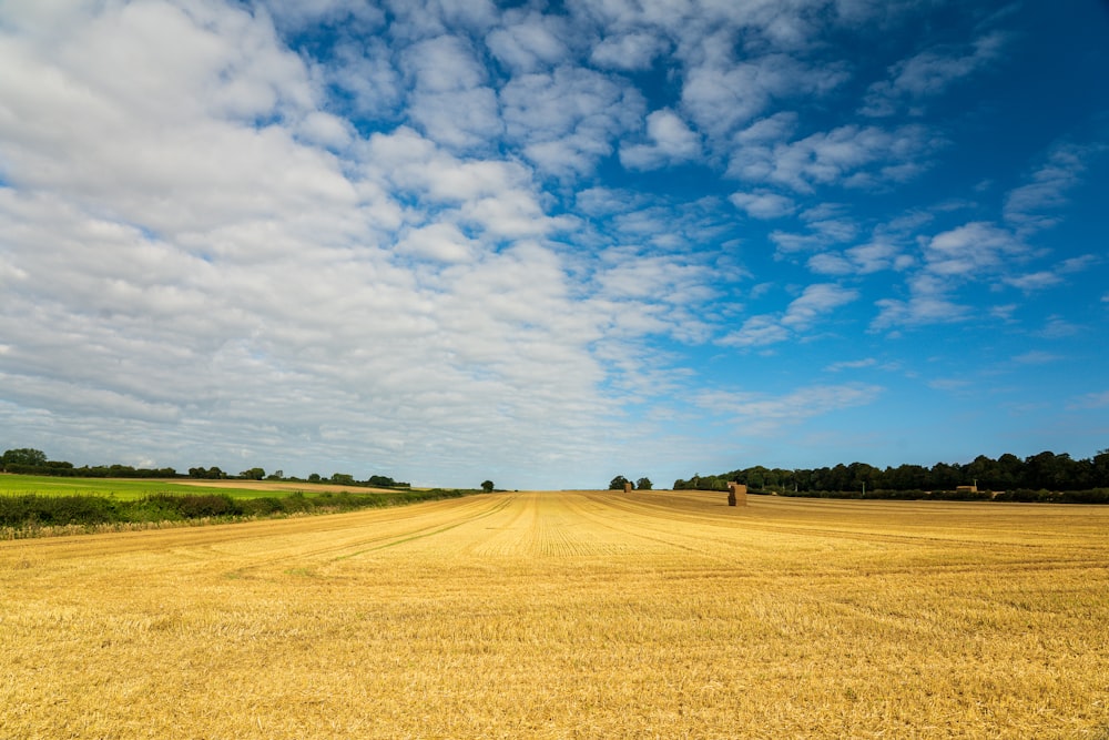 brown field under blue sky and white clouds during daytime