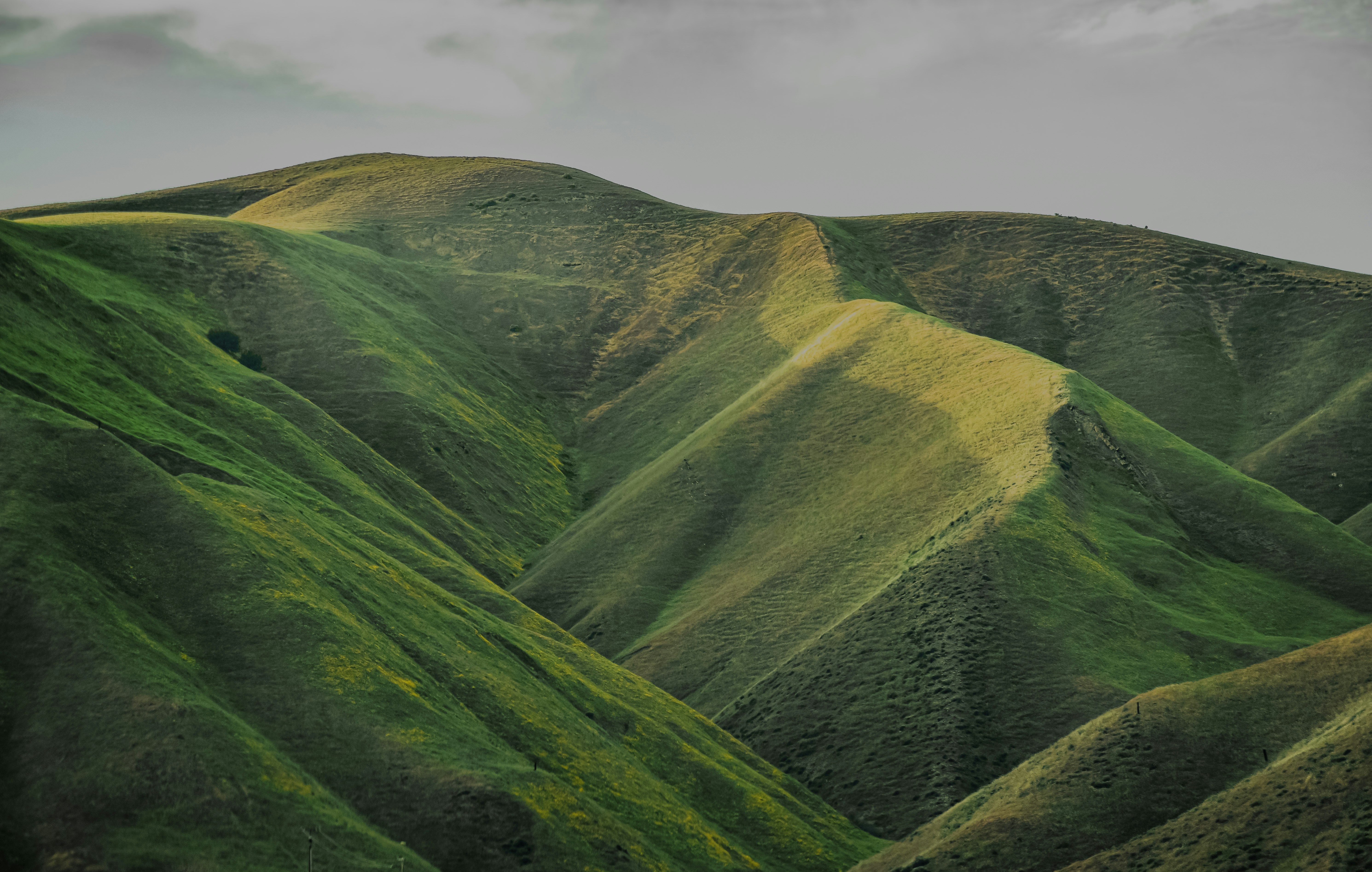 Photo by framesforyourheart