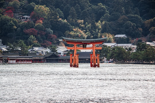 brown wooden cross on body of water near green trees during daytime in Itsukushima Floating Torii Gate Japan