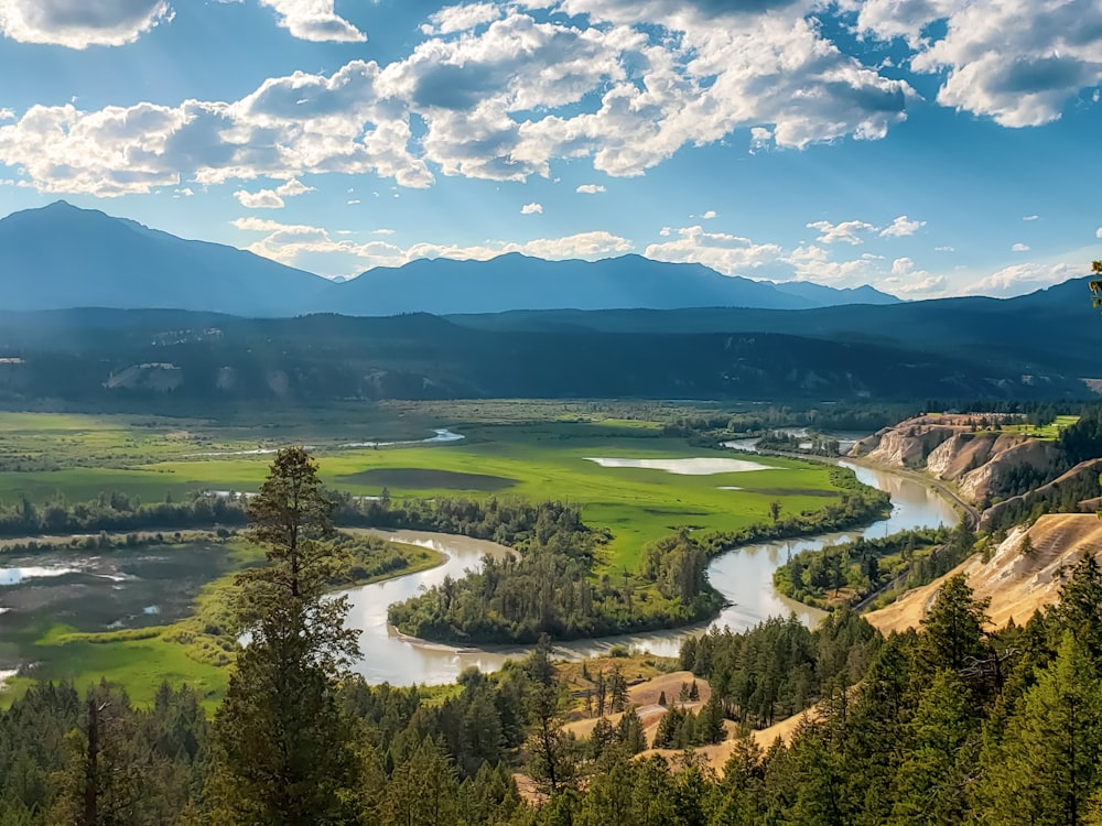 green trees and mountains under blue sky and white clouds during daytime