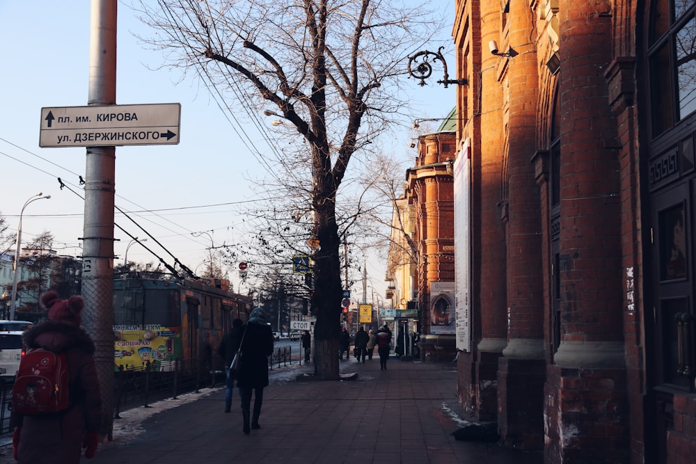 people walking on sidewalk near bare trees during daytime