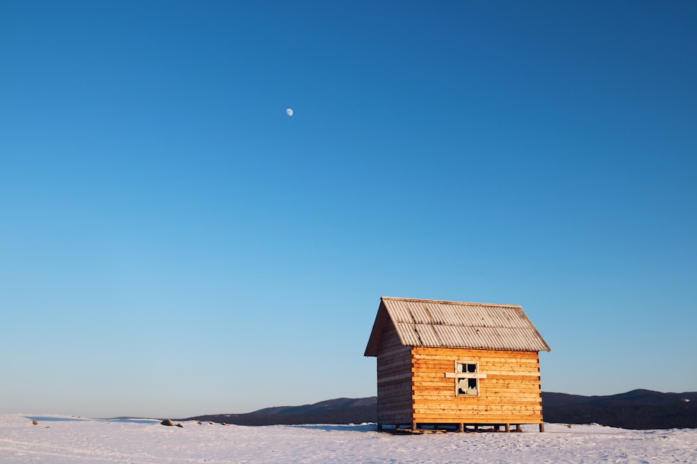 brown wooden house on beach during daytime