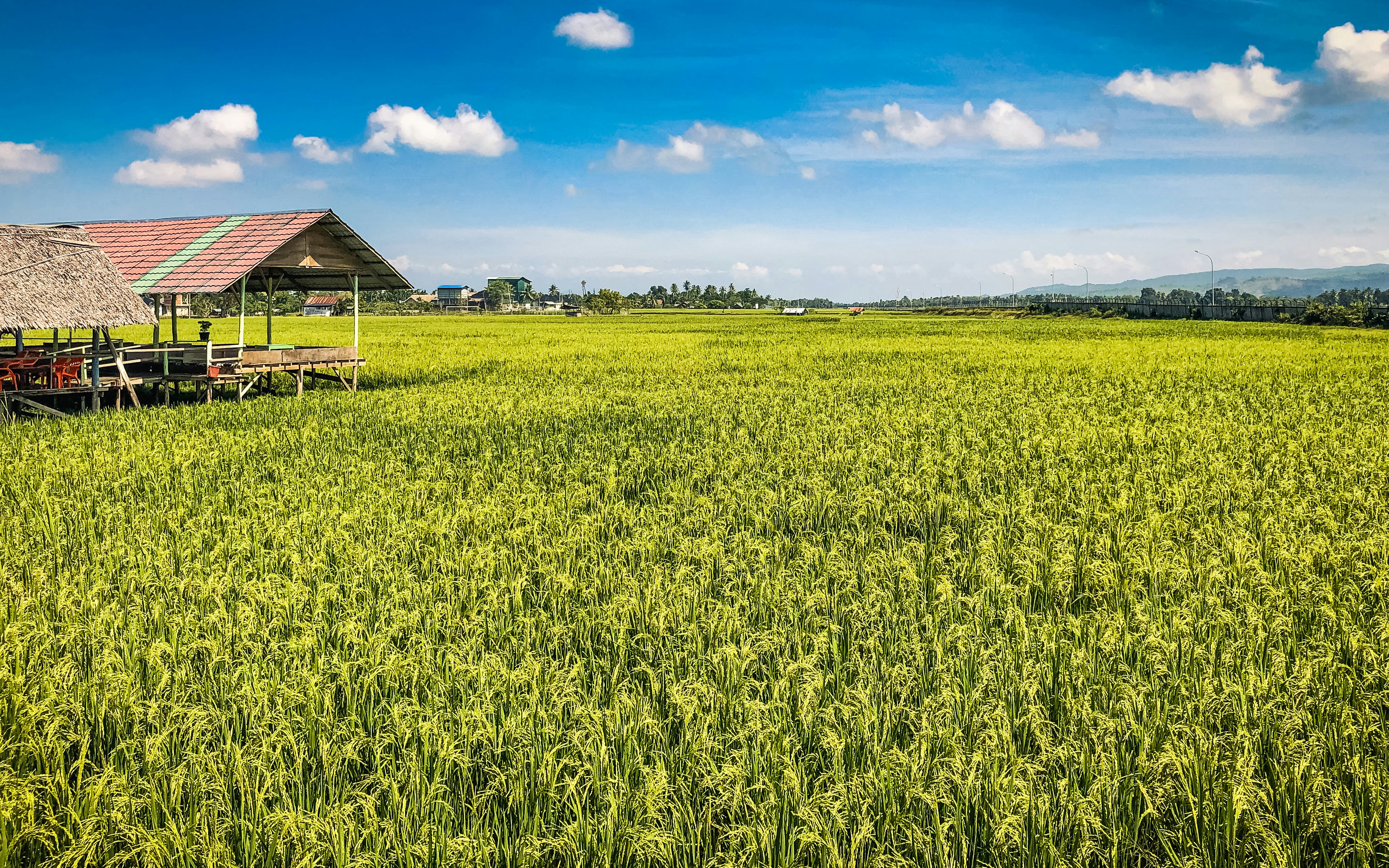 brown wooden house on green grass field under blue sky during daytime
