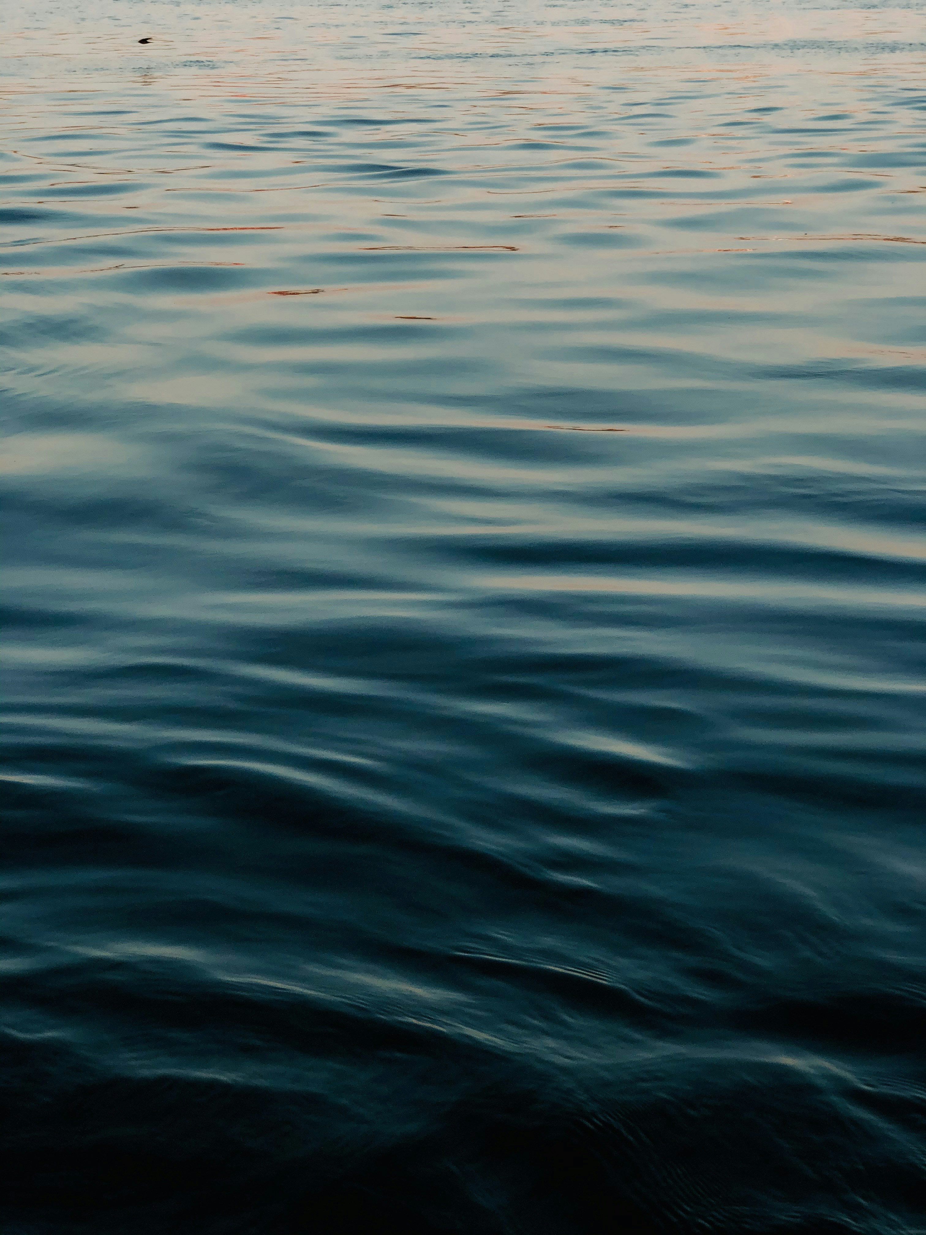 Photo by osamaabosaadia