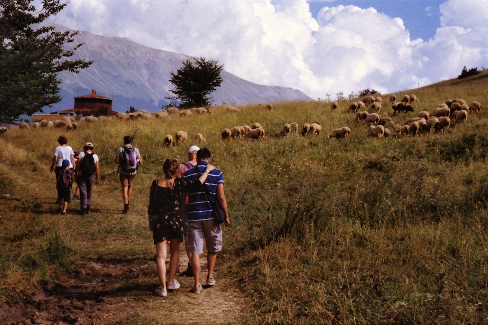 personnes marchant sur un champ d’herbe verte pendant la journée